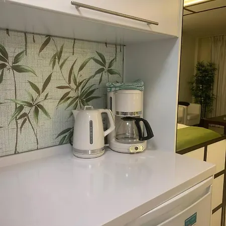 Near Vistas 公寓 *