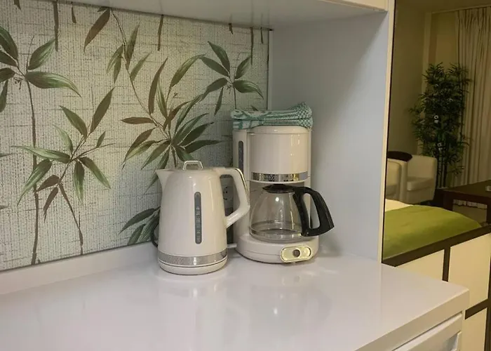 Near Vistas 公寓 *